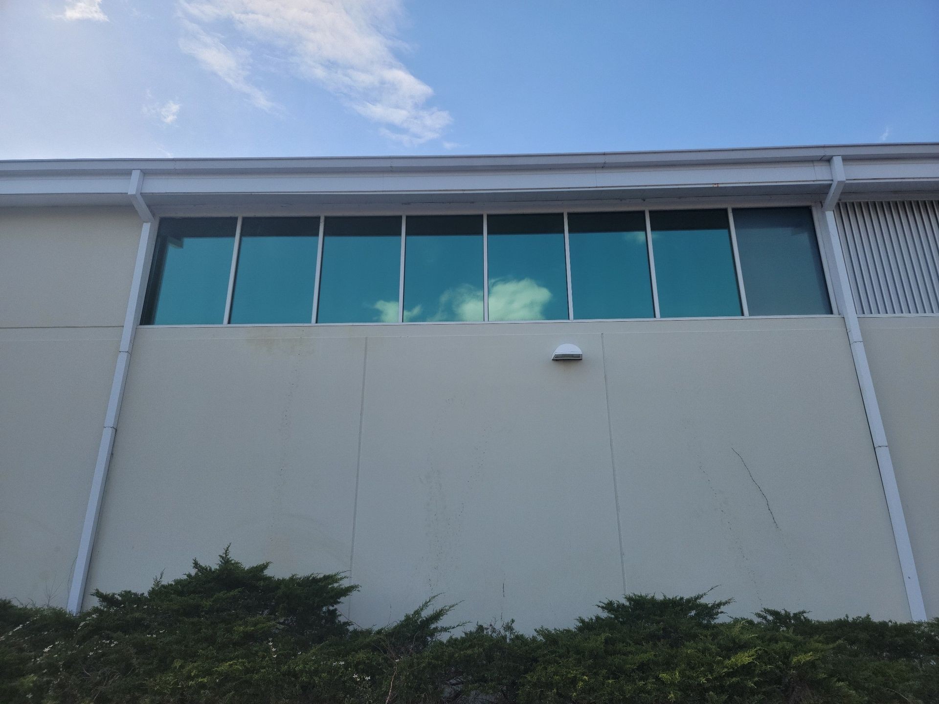 Commercial Window Tint